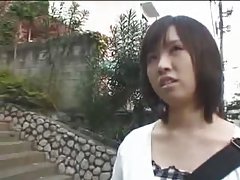 戴眼镜的欧洲小鸡在口头以后犁了